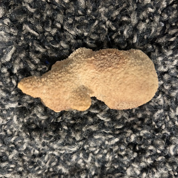 1950s Vintage Ucagco Spaghetti Textured Cat Green Glass Eyes Hand-Painted Japan - Picture 2 of 3